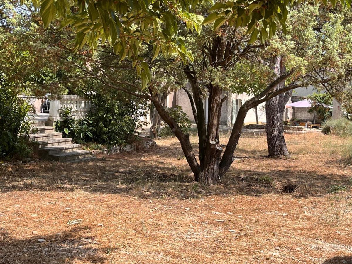 Maisonnette Independante Avec Jardin/Patio نيم المظهر الخارجي الصورة